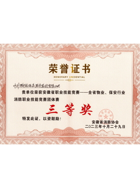 安徽省消防協(xié)會2023年度消防職業(yè)技能大賽團(tuán)體賽三等獎